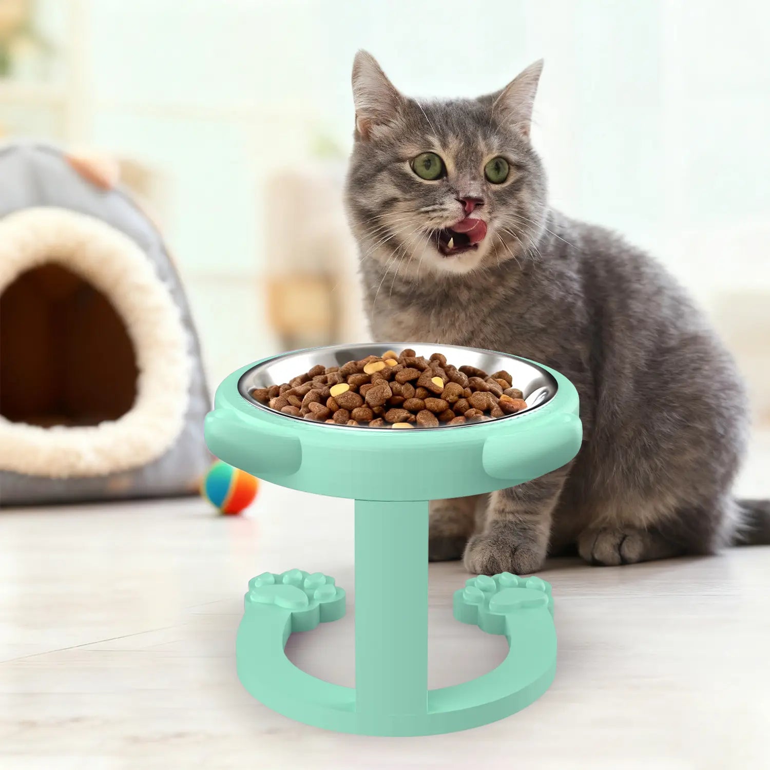316 Stainless Steel Elevated Tilted Cat Bowl - Whisker-Friendly Neck Protection Raised Feeder with Anti-Slip Paw Stand, Elevated Slow Feeder, Portable Bowl for Visits and Trips, Smooth Steel Surface Wipes Clean Fast, Stays Put on Floor for Senior Cats