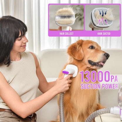 Geoorood 5-in-1 Dog Grooming Kit & Vacuum | 13kPa Suction, Extra-Large 2.5L Dust Cup & Stainless Steel Blades